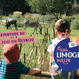 Un week-end avec le Pass Limoges Malin