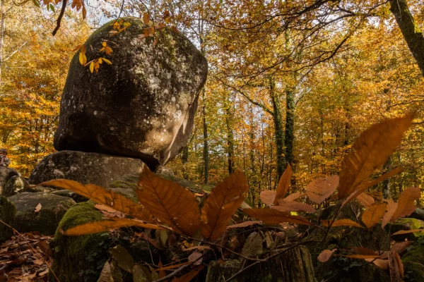 Séjour dans le Nord du Limousin