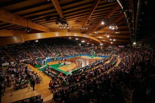 Limoges CSP : la vie en vert